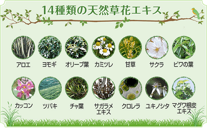 14種類の天然草花エキス