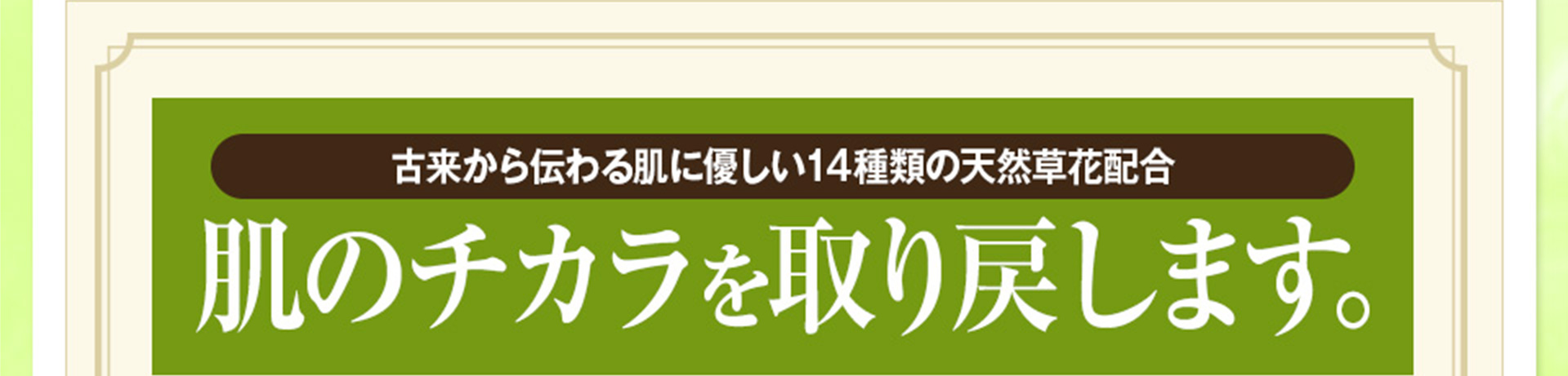 古来から伝わる肌に優しい14種類の天然草花配合 肌のチカラを取り戻します。